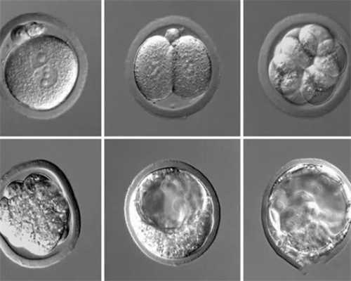 鞍山市妇儿医院网上挂号，鞍山妇儿医院二代转诊流程是什么？ 