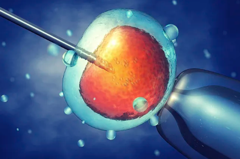 天津中心妇产医院胚胎冻存费用，天津南开医院一管冻胚解冻要多少钱？ 