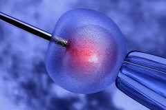 孕早期不孕吐是男孩吗，孕早期不孕吐的人说明精子质量比较好是真的吗? 