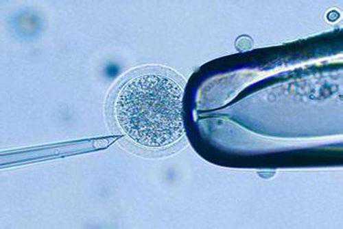 沈阳204医院生殖中心哪个医生好，沈阳204医院哪个医生移植鲜胚成功率高些？ 