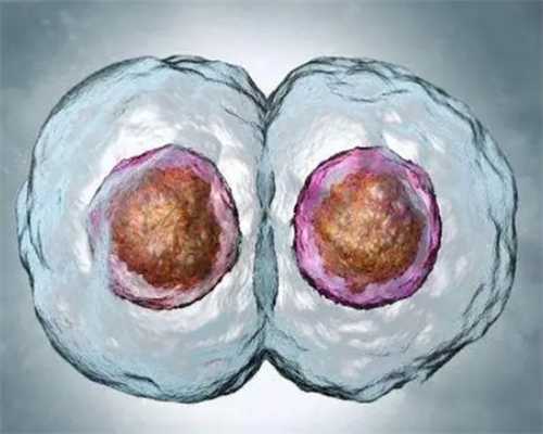 海军特色医学中心门诊时间，2024去海军特色医学中心杨浦院区坐几路车？ 