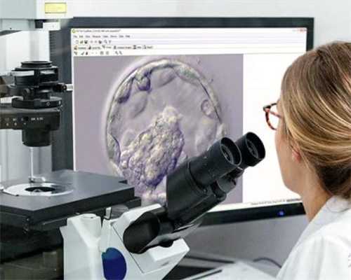 宁波哪家医院可以做试管，2024宁波哪家医院做试管婴儿的成功率比较高? 