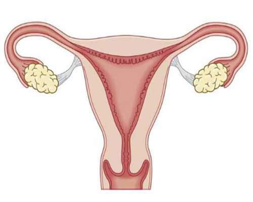 上海九院能做三代试管吗，2024上海九院生殖中心可以做第三代试管婴儿吗? 