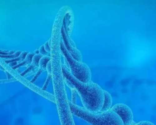 涿州生殖中心，涿州市医院生殖科做供精试管移植需要什么手续？ 