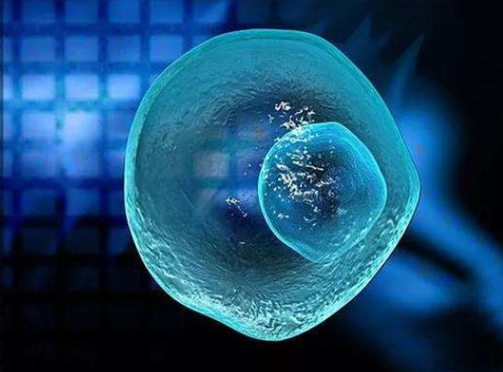 北京301医院和北京大学第一医院哪个好，北京301医院与北大一院哪个好？ 