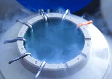 试管促排用药和费用，沈阳市妇婴医院试管前进周促排都用什么药？ 