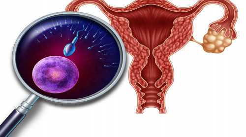 长治和平医院试管婴儿成功率，2024长治和平医院试管建档多少钱？ 