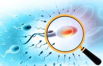 太原市中心医院hiv试管费用多少一次啊，太原市中心医院hiv试管费用多少一次？ 