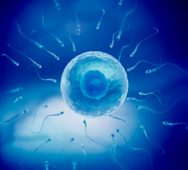 天津983医院生殖科怎么样，天津983医院哪个医生移植成功率高？ 