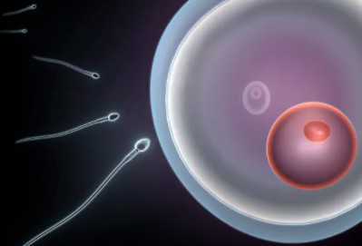 重庆西南医院高龄二代试管婴儿费用多少，重庆西南医院高龄二代试管婴儿费用多少？ 