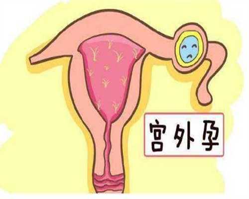 广州试管婴儿服务，泰孕国际试管，武汉助孕机构，试管婴儿医院推荐