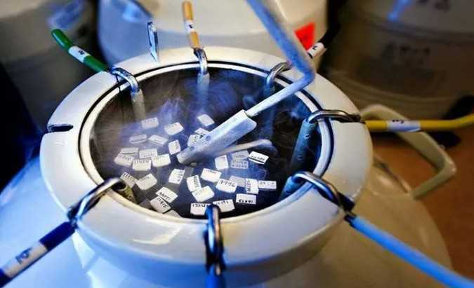 太原中心医院预约电话是多少，太原市中心医院胚胎移植费用高吗？ 