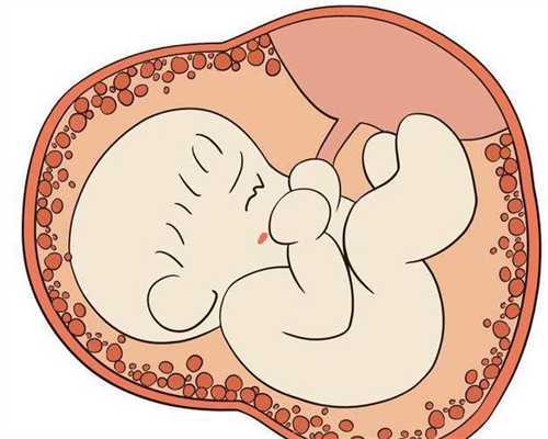 试管婴儿：流程与费用全解析