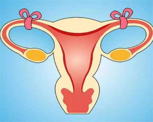 盛京医院试管费用明细，盛京医院试管移植冻囊胚失败率高吗？ 