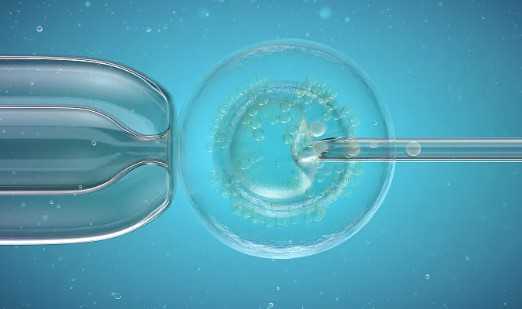 重庆新桥医院胚胎移植多少钱一次费用，重庆新桥医院胚胎移植多少钱一次？ 