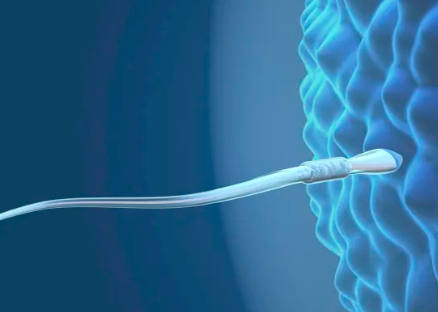 重庆西南医院试管身体检查多少钱啊，重庆西南医院试管身体检查多少钱？ 