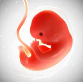 重庆北部妇产医院供精挂哪个科室的号，重庆北部妇产医院供精挂哪个科室？ 