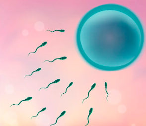 重庆北部妇产医院移植失败要换医生了吗多少钱，重庆北部妇产医院移植失败要换医生了吗？ 