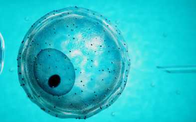 瑞金医院妇科超声，瑞金医院生殖科阴超下午有医生做吗？ 