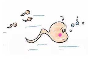 重庆哪些医院可以做试管挑选北 部妇产专家预约，重庆北部妇产医院显微取精多少钱？ 