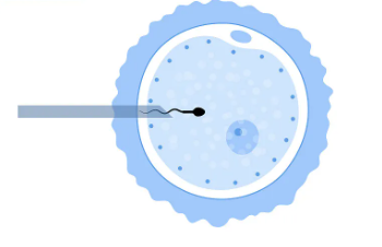 重庆北部妇产医院现在可以做试管婴儿吗，重庆北部妇产医院生殖中心一代试管移植冻胚多少钱？ 