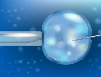 三代试管收费，2025大理做三代试管婴儿生育孩子有补贴吗？ 