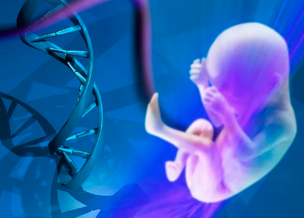 重庆北部妇产医院囊胚移植男的能进去吗多少钱，重庆北部妇产医院囊胚移植男的能进去吗？ 