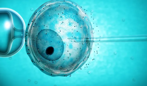 重庆北部妇产医院现在可以做试管婴儿吗，重庆北部妇产医院预移植多少钱？ 