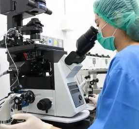 重庆新桥医院试管婴儿成功率，2025重庆新桥医院二代试管转化率高吗？ 