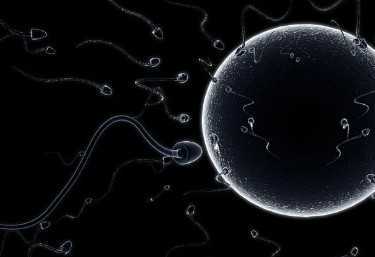 瑞金医院试管怎么样，2025瑞金医院供精试管收费高吗？ 