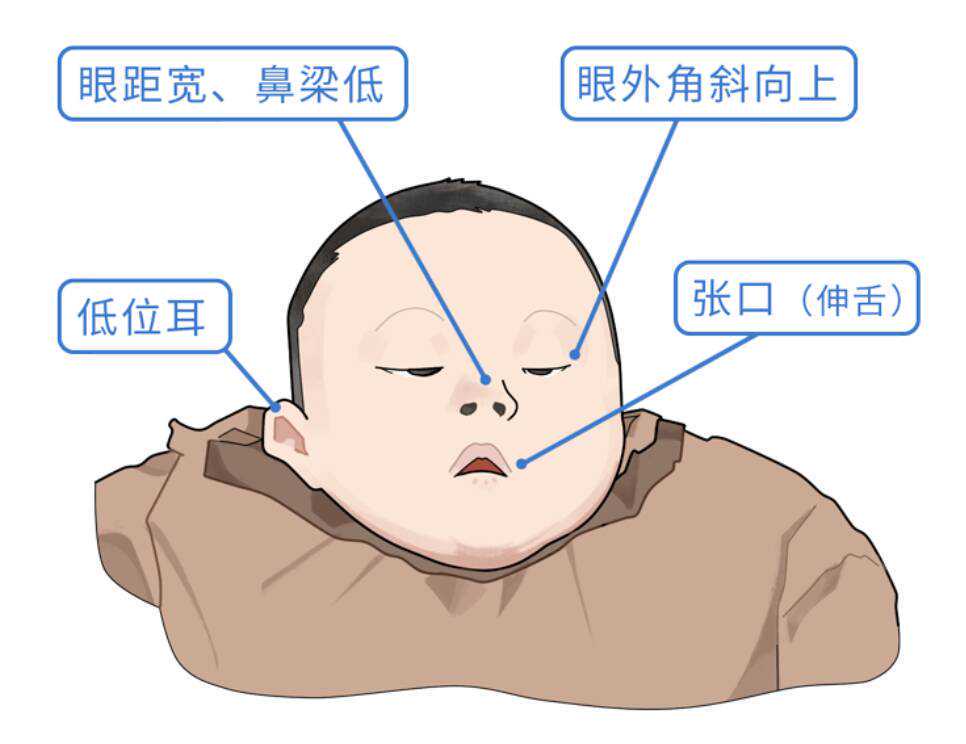 上海同济医院坐几路公交车，2025去普陀区上海同济医院坐什么公交车方便？ 