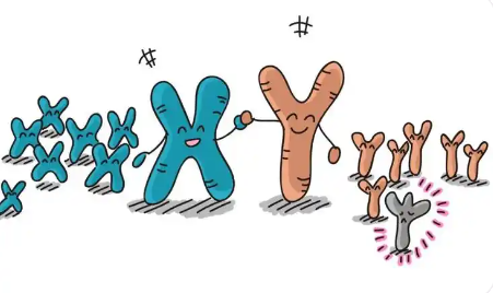 盛京医院做试管婴儿成功率多少，盛京医院试管着床流程是什么样的？ 