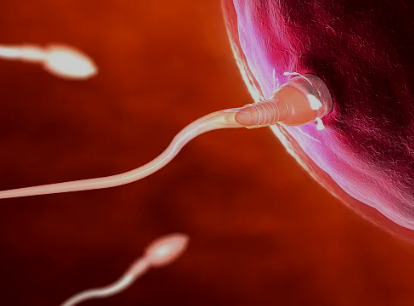 沈阳204医院单身试管多少钱啊，沈阳204医院单身试管多少钱？ 