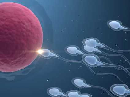 上海仁济医院人工授精的流程，2025上海仁济医院北院人工授精哪个医生好？ 