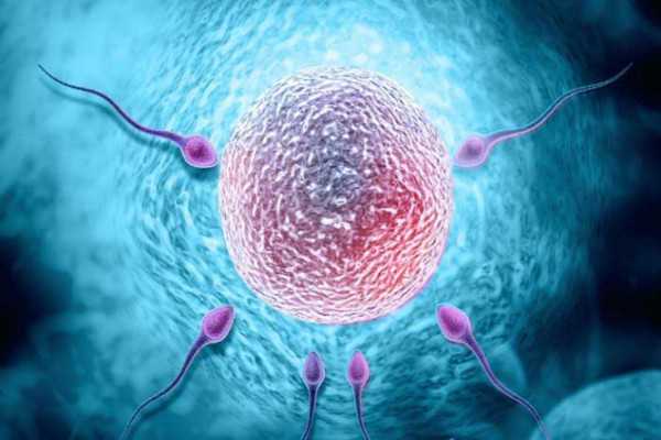 内蒙古医科大学附属医院做试管，内蒙古人民医院试管预移植多少钱？ 