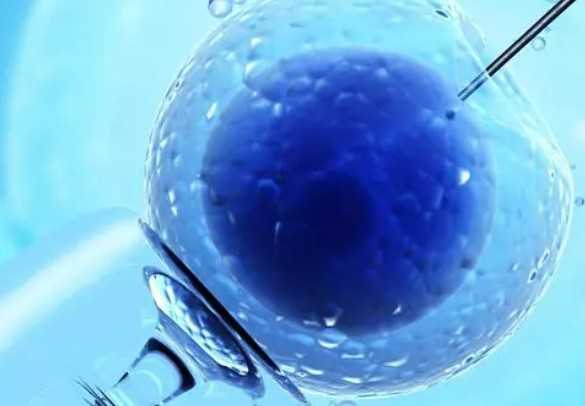 上海仁济医院供精费用，上海仁济医院二代供精试管成功率多少？ 