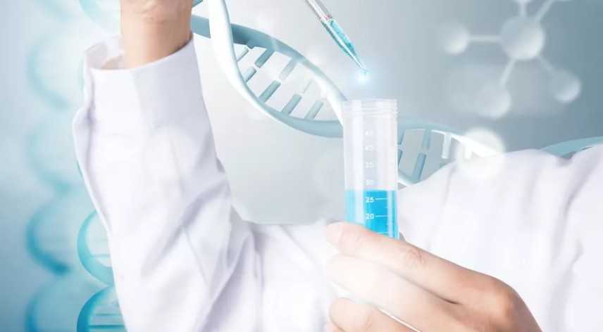 沈阳202肖玉红试管，沈阳202医院不孕不育肖育红医生电话是多少？ 