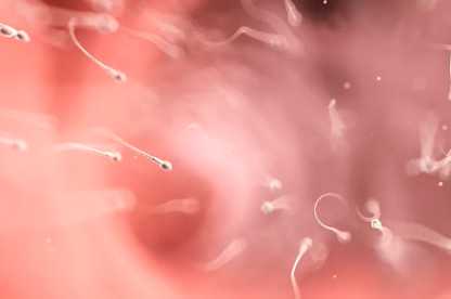 沈阳盛京医院做试管多少钱，2025盛京医院试管用进口药降调多少钱？ 