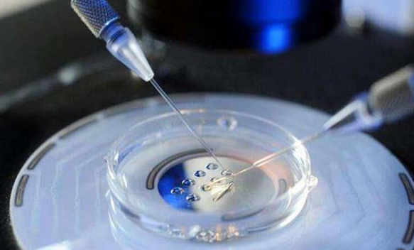 怀双胎的风险有什么风险，女性怀双胎比想象中的难熬！最累几周全都整理处理了