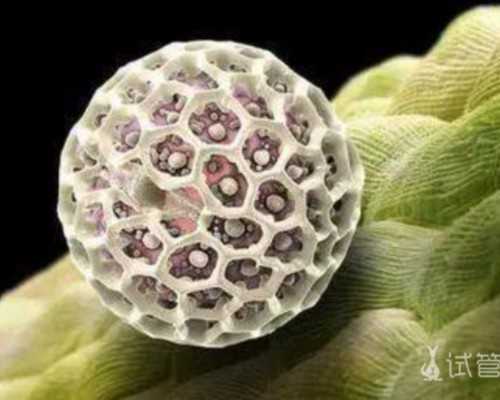 盛京医院做试管婴儿，2025盛京医院hiv第2代试管多少钱？ 