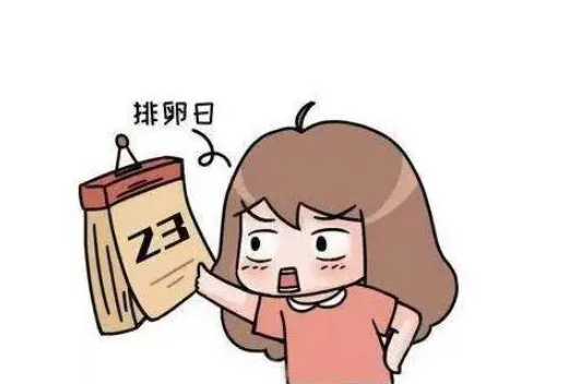 突然长胖和多囊有关系吗，女性突然发胖要警惕，多是多囊卵巢、腹水等疾病找上门