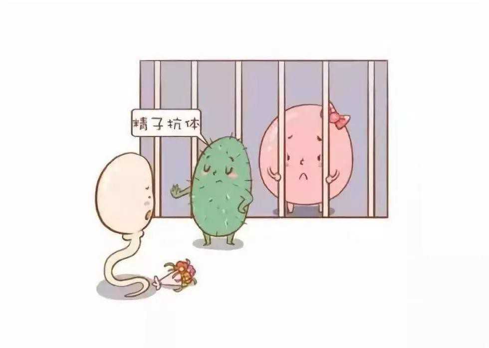 美国人做试管婴儿需要自费吗，为什么都去美国做试管婴儿，答案全在这3点里面