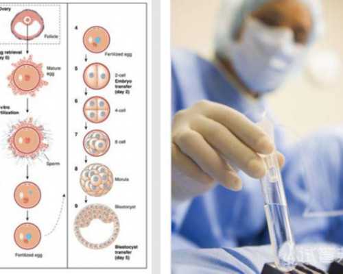 去美国做试管的要求，警惕赴美试管“成功率”背后的陷阱