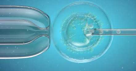 婴儿辅食核桃油品牌排行榜，2025年辅食核桃油哪个好，十大品牌排行榜推荐