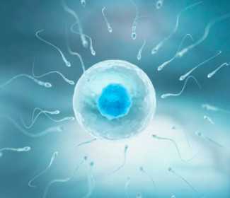 婴儿车 排行，2025年婴儿车前十排行榜整理，最受欢迎品牌早知道