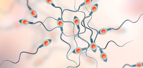 沈阳204医院生殖中心哪个医生好，沈阳204医院生殖科试管前期检查流程是什么？ 