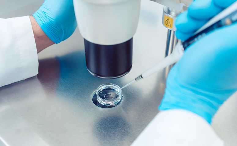 上海九院的试管婴儿移植的成功率多少，上海九院二代试管移植囊胚可以怀双胞胎吗？ 