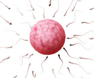 上海仁济医院输精管结扎，上海仁济医院生殖科冻精手术费用多少？ 