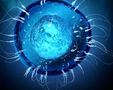 内蒙古医科大学第一附属医院生殖科，内蒙古附属医院一代转二代试管多少钱？ 