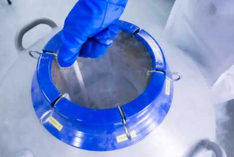 上海仁济北院试管婴儿成功率，上海仁济医院北院试管婴儿全国排名多少？ 